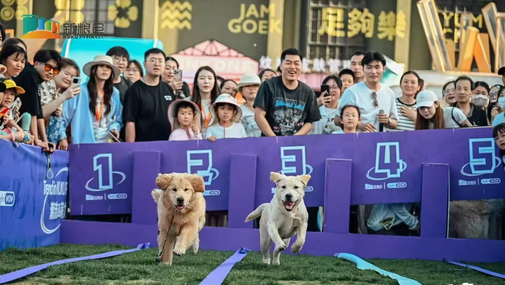 新玩法！蜀山这个假期“购”精彩，你打卡了吗？5.jpg
