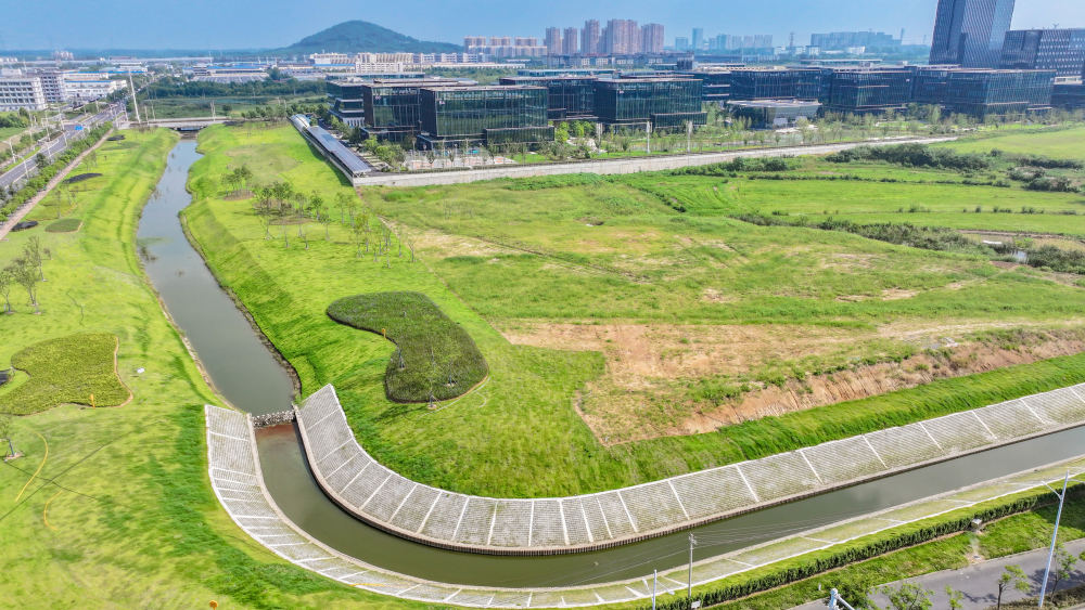 派河（江淮运河）部分支流小流域水生态保护修复工程两个先行段已完工。.jpg