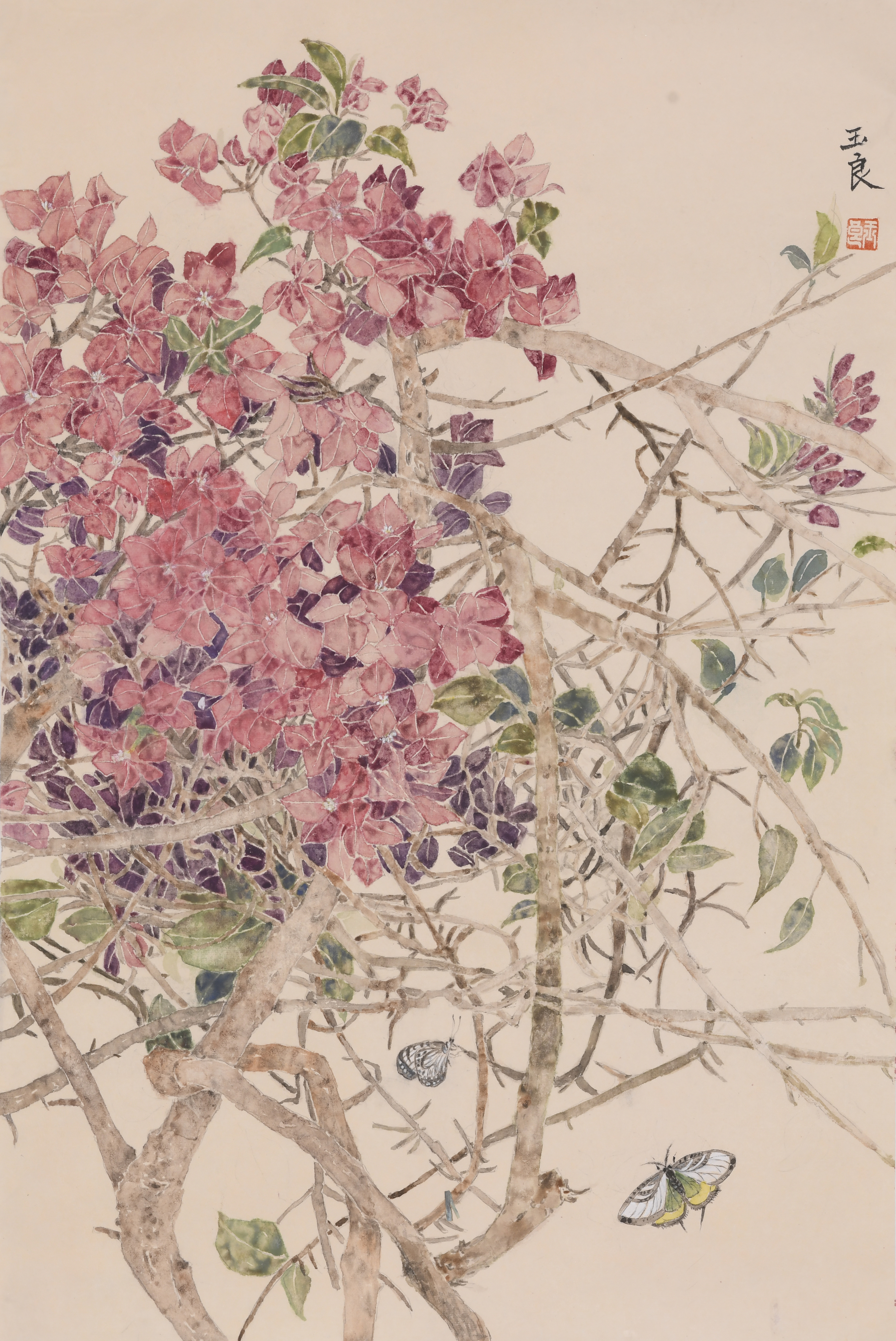 权玉良《芳菲》69X45cm国画.jpg